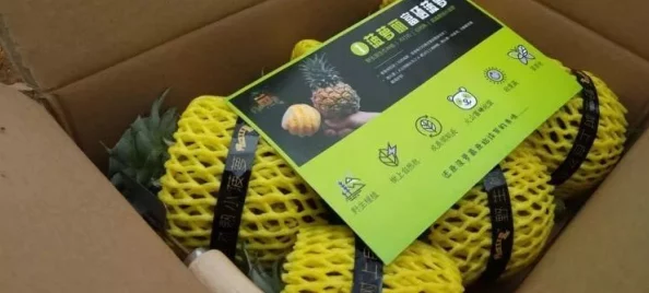 菠萝福利导航：用户体验极佳，资源丰富且更新迅速的优质平台推荐