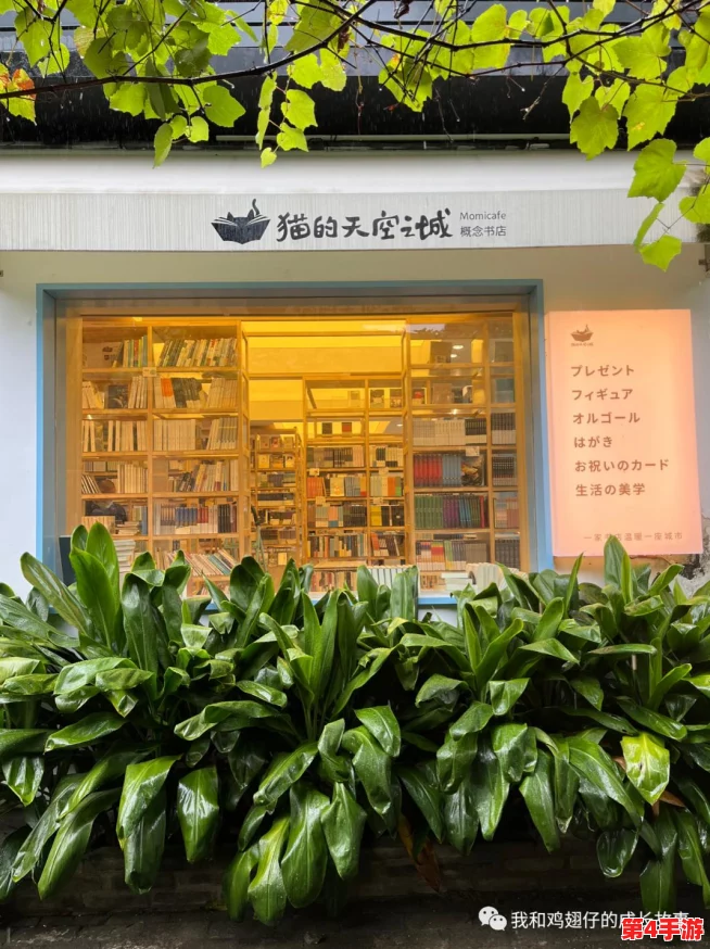 探索《猫之城》抽卡机制：揭秘保底抽数，助你高效集结梦幻猫咪阵容！
