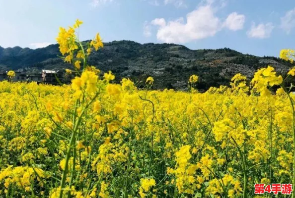 福清大地影院今日电影放映：精彩纷呈，不容错过的视听盛宴
