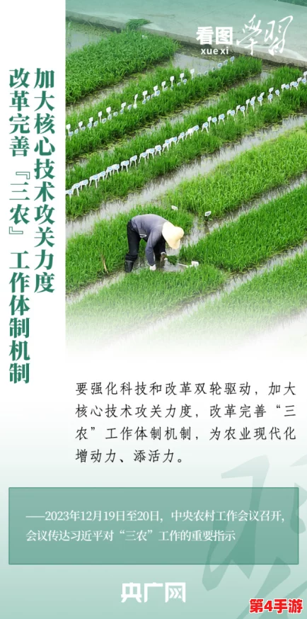 国内外摘花处破过程：从传统技艺到现代科技的全景解析与发展趋势分析