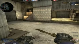 csgo俄罗斯妹妹：游戏中的魅力与实力并存，展现了独特的风格与个性