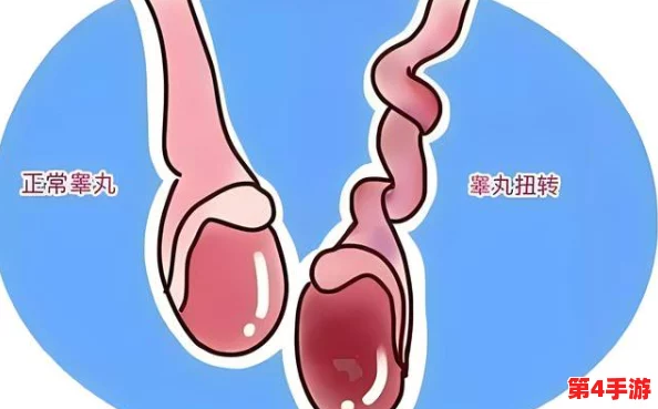 怎么玩睾丸无害但痛？了解这些技巧让你体验更安全的乐趣与刺激！