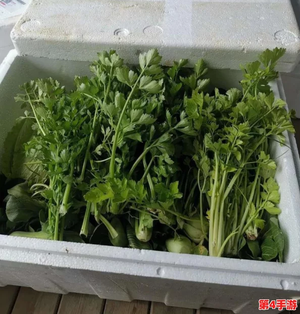 公司老板要求员工在疫情期间真空上班，员工纷纷表示担忧