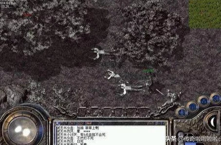 探寻原始传奇秘境：揭秘白野猪出没的神秘地图坐标