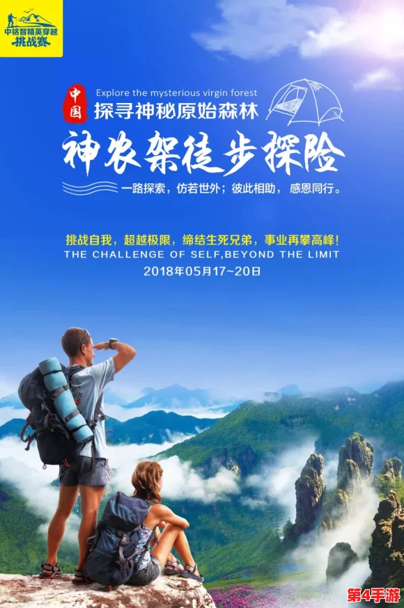 任你躁任我躁，携手共创未来的激情与梦想之旅