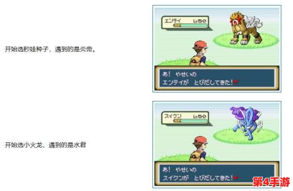 《口袋妖怪叶绿版》高效刷钱攻略：探索隐藏财富与战斗策略双管齐下，轻松累积金币秘籍