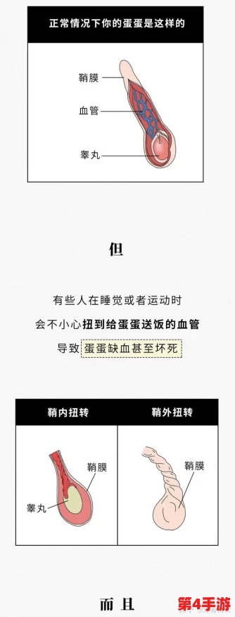 女孩看到男孩子的睾丸怎么办？如何处理这种尴尬情况才能避免尴尬？