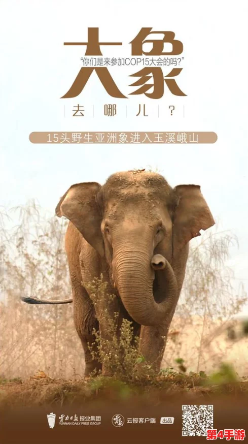 “大象回家永久不迷路2023：让每一只大象都能安心归家，勇敢探索无惧迷失”