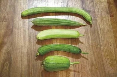 秋葵茄子丝瓜香瓜榴莲大全：网友称赞秋葵清新可口，丝瓜鲜嫩，不同水果香甜独特，赞不绝口！