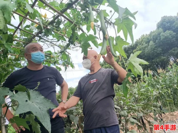 国产高清   精品软件丝瓜软件：提升用户体验，满足多样化需求