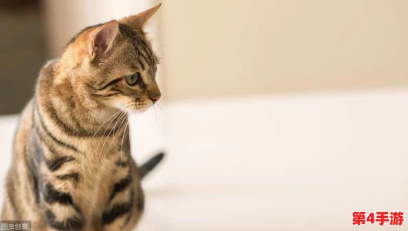 怪物猎人OL：高效攻略！解锁急冻袋必刷任务选择与策略分享