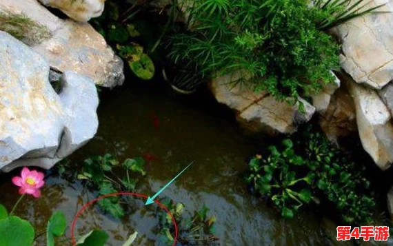 老公说我的小花园是甜的,朋友们都说她的绿植养得真好,让人心情愉悦! 老公说我的小花园是甜的,朋友们都说她的绿植养得真好,让人心情愉悦!