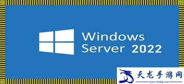 日本windowsserver免费版：如何理解这一突破性的服务？