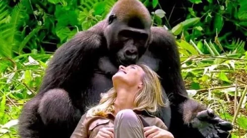 欧美人与禽猛交狂配：一种不可思议的文化现象和道德挑战