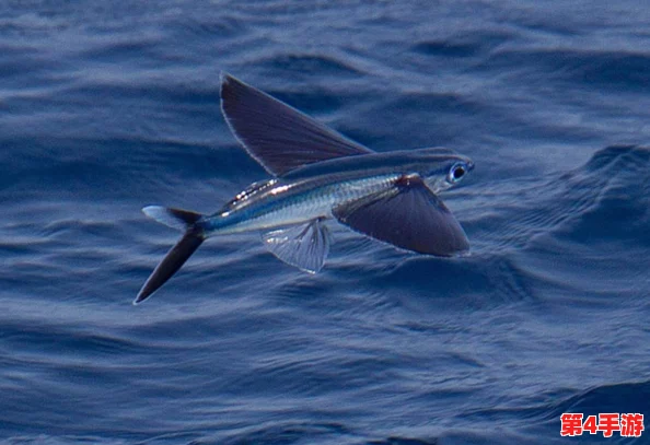 被捡来的人鱼干翻了怎么办林遇:当奇幻遇见现实,该如何应对? 被捡来的人鱼干翻了怎么办林遇:当奇幻遇见现实,该如何应对?