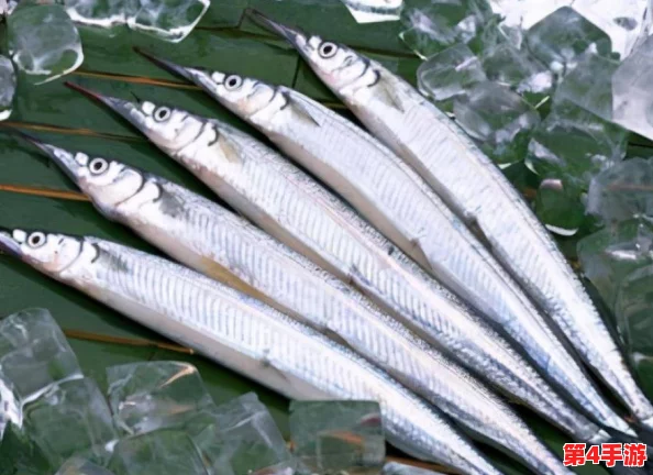 被捡来的人鱼干翻了怎么办林遇:当奇幻遇见现实,该如何应对? 被捡来的人鱼干翻了怎么办林遇:当奇幻遇见现实,该如何应对?