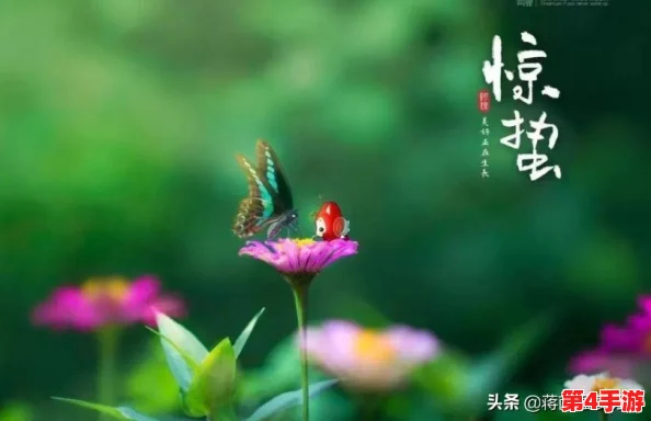 解锁游戏挑战新境界：第54关攻略全解析，助你轻松跨越难关壁垒！