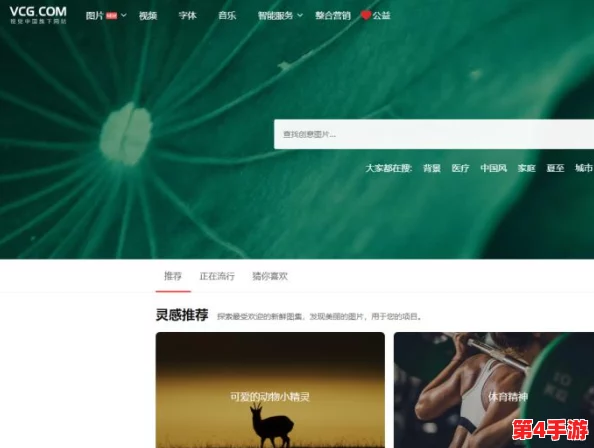 理解成品网站10款：全面解析各类优秀网站的设计与功能特点