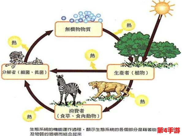 探索猴类快速恢复体力的奥秘：自然适应性与高效生理机制的全面剖析