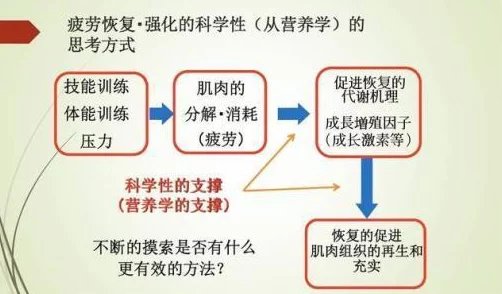 揭秘猴类体能快速复原机制:从生理构造到行为习性促进恢复速度的独特优势 揭秘猴类体能快速复原机制:从生理构造到行为习性促进恢复速度的独特优势