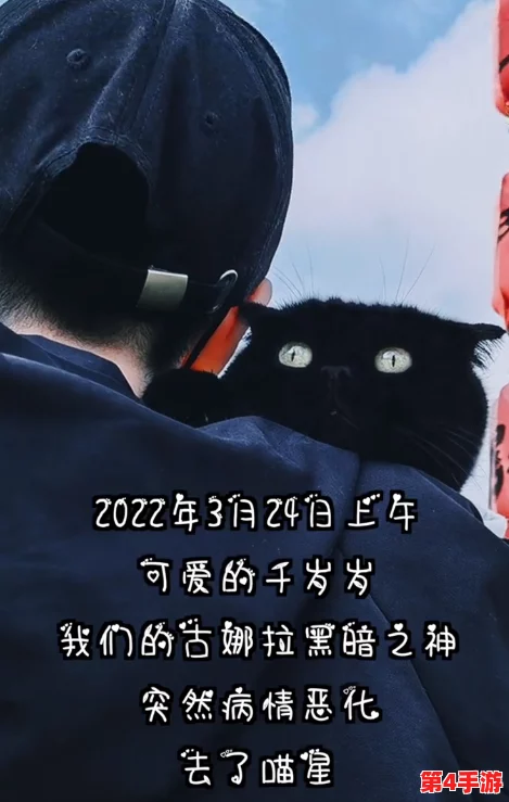 麻花豆传猫爪影像的背后故事：如何在网络世界引发热潮的秘密