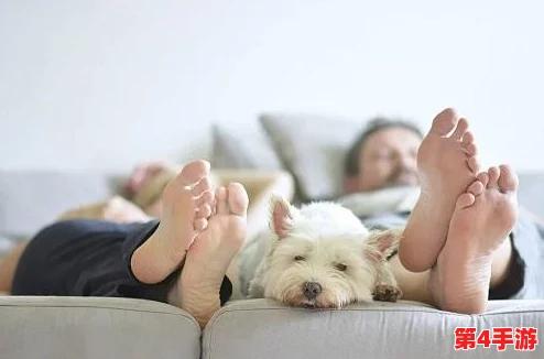 铜铜铜铜铜好深板有病毒吗？对这一问题的深入分析与探讨，旨在揭示潜在风险及其影响