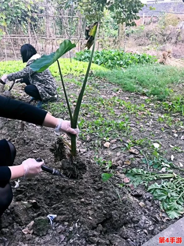 老师脱 让学生摸 拔萝卜，这样的教学方式真是太大胆了，难道教育真的可以这么随意吗？