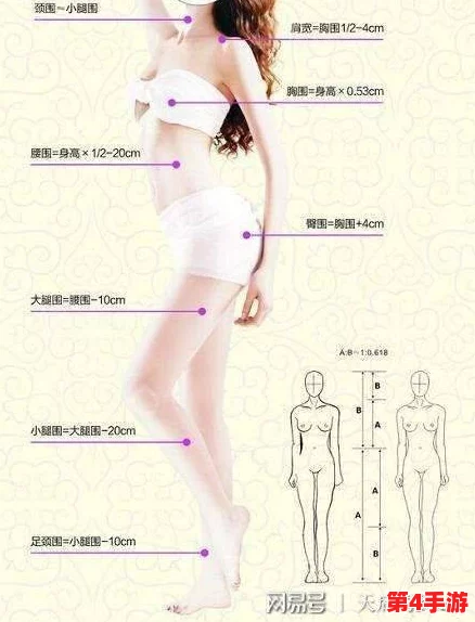 女人的前四后八是指什么？揭秘让男人欲罢不能的身材黄金比例