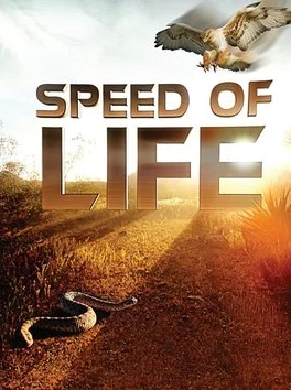 探索未来轨迹:揭秘特殊人物相遇的非凡条件与生命转折瞬间 探索未来轨迹:揭秘特殊人物相遇的非凡条件与生命转折瞬间