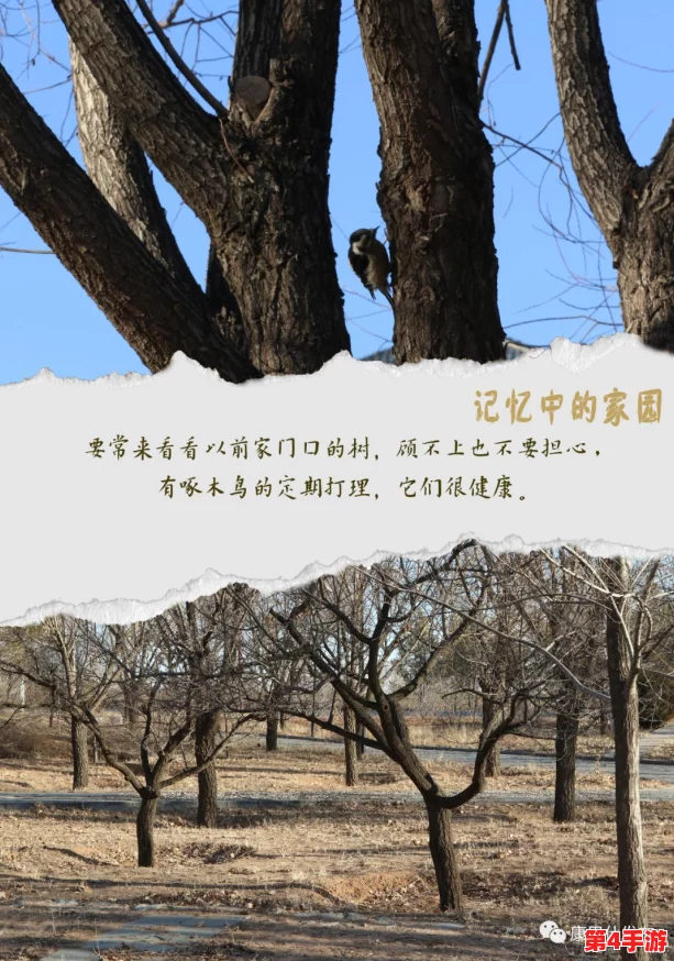 穿越火线手游家园秘境：探寻未知生物命名之谜，解锁专属称号与奖励全攻略