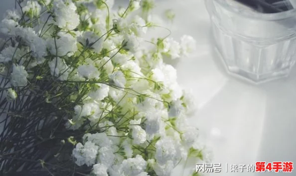 八尺夫人意大利 满天星：深入理解这幅作品背后的文化与情感表达