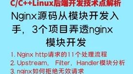 张婉莹的暑期作业1080p外网分享及其学习心得与方法探索