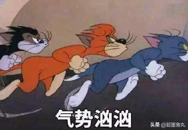 猫和老鼠手游：高效应对守尸战术，策略逃脱与反击技巧全攻略