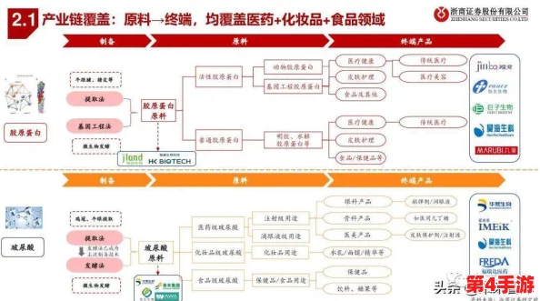 美国人与动物胶配方有几种？深入分析不同类型及其应用领域的多样性与特点