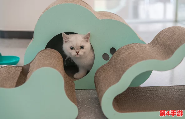 打造专属纸艺萌猫世界：全面开店指南与创意经营策略推荐