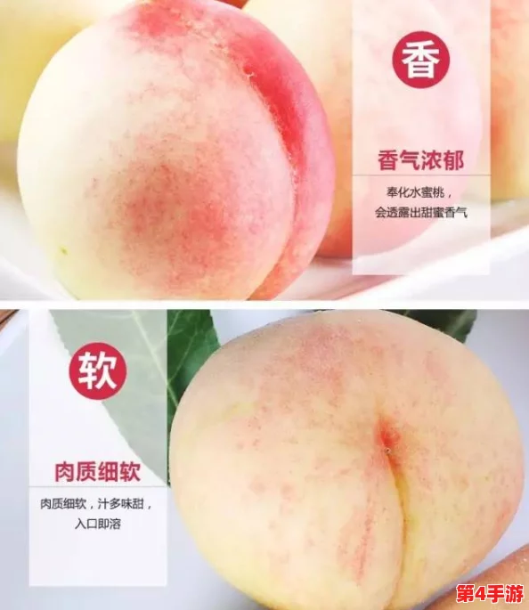 蜜桃产品一二三产区：网友热议，期待更多优质蜜桃的产地信息与美味分享！