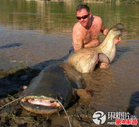 探索心动小镇:揭秘欧洲鲶鱼的神秘栖息地与特色介绍 探索心动小镇:揭秘欧洲鲶鱼的神秘栖息地与特色介绍