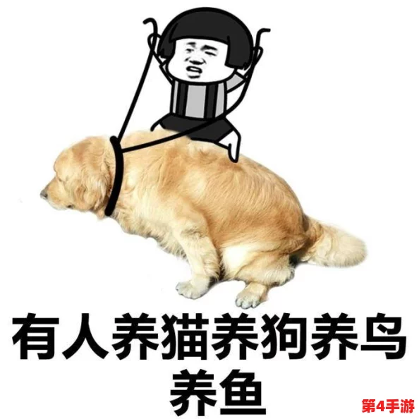 “我的老公是条狗白珍丽山本一郎”，揭示生活中的幽默与无奈，谁说爱情不能搞笑？