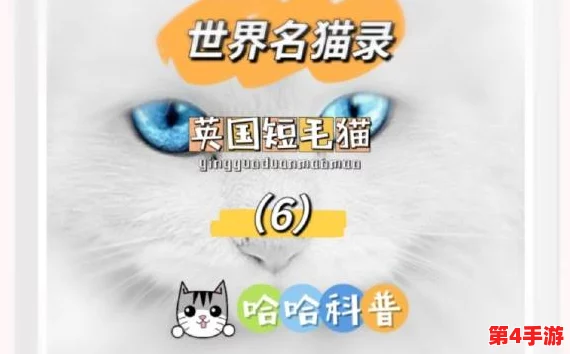 揭秘猫咪www最新地域网名怎么取的神秘艺术和创意灵感之源