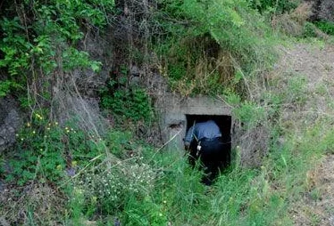 神秘路线入口:网友热议这条线路的奇特景观与未知冒险,期待更多人分享他们的探险经历和感受! 神秘路线入口:网友热议这条线路的奇特景观与未知冒险,期待更多人分享他们的探险经历和感受!