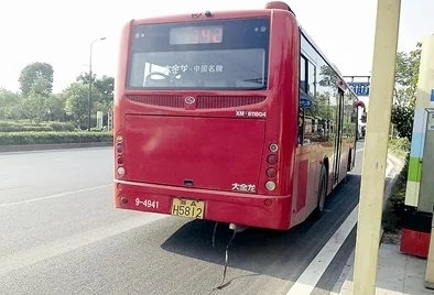 按尺寸坐公交车小镇售票员，网友评论：这个标题真有趣，感觉像是一个奇幻故事的开头，让人想知道更多！