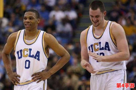 1免费版网站nba：网友评价如何？用户体验与功能深入分析，值得一看！