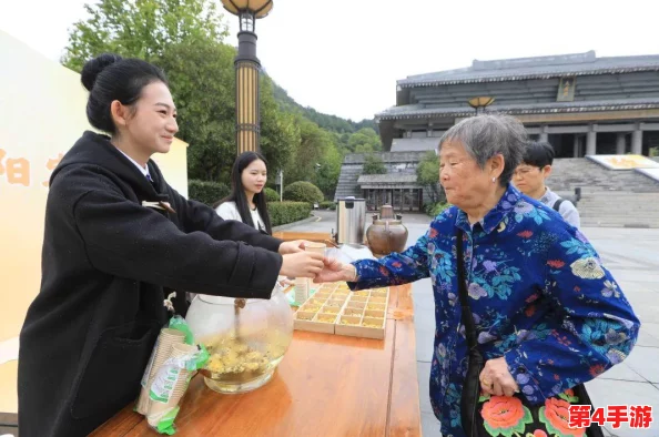 2024年老年人挚爱：经典游戏下载排行，活力带动老年生活新风尚的精选集