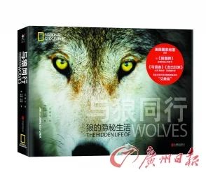 《与狼同行2》开发疑云笼罩:内部困境曝光,项目未来岌岌可危或面临取消风险 《与狼同行2》开发疑云笼罩:内部困境曝光,项目未来岌岌可危或面临取消风险