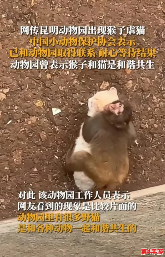 女人与公猪交交：理解人与动物之间复杂的情感与行为关系
