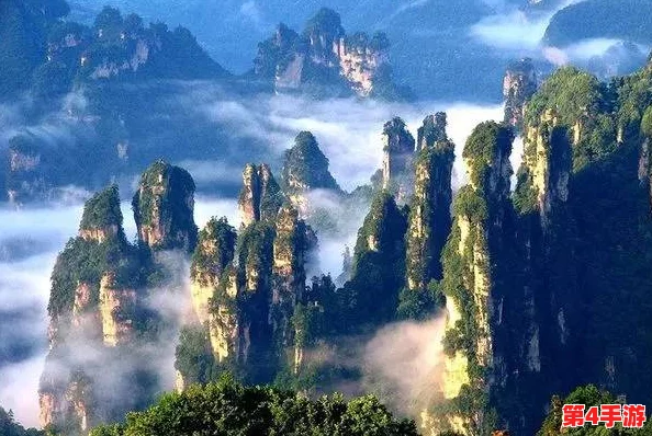 缅北AAAAA：用户评价称其风景如画，文化丰富，是旅行者的天堂与冒险者的理想之地！