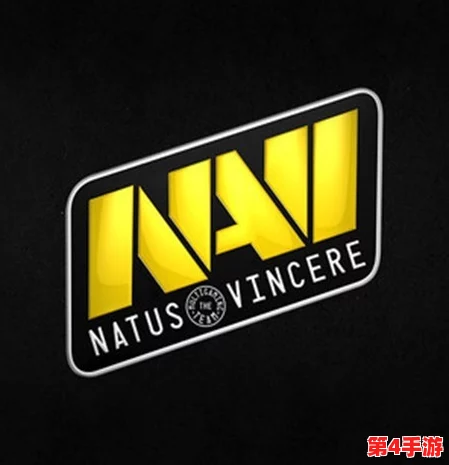反恐精英领域:NAVI与NRG实力对比,谁才是更强的电竞豪门? 反恐精英领域:NAVI与NRG实力对比,谁才是更强的电竞豪门?