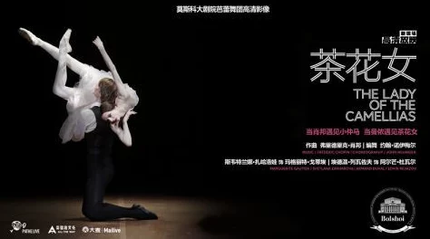 理解谢丽悦：她在艺术与生活中的独特视角与深刻影响力