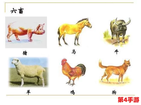 欧美人与牲禽动交com：探讨人类与动物之间复杂关系的文化现象及其在社会中的影响和争议