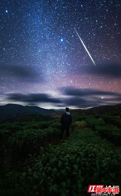 麻花天美星空，璀璨如画，令人陶醉不已
